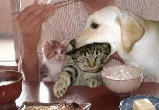 Эмодзи пуссис