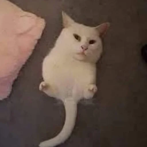 Эмодзи пуссис