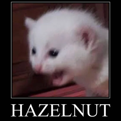 Эмодзи пуссис