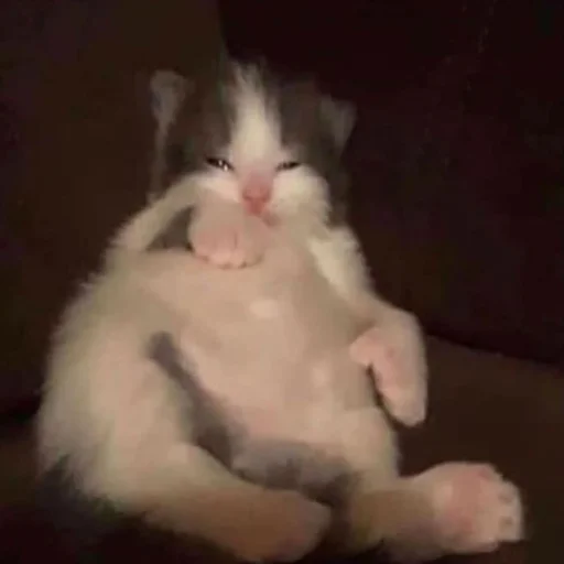 Эмодзи пуссис