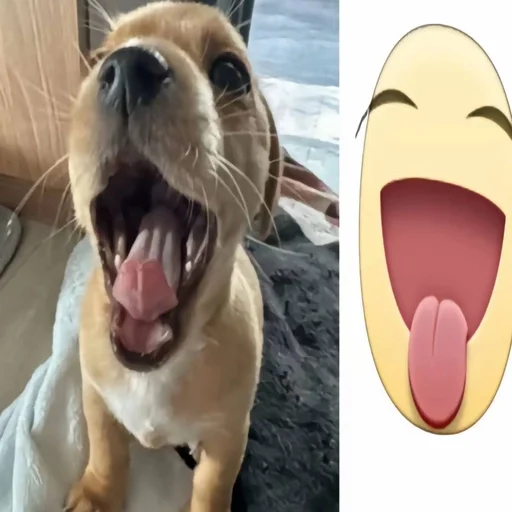 Эмодзи собачка милая