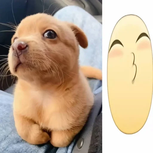 Эмодзи собачка милая