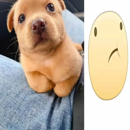 Эмодзи собачка милая