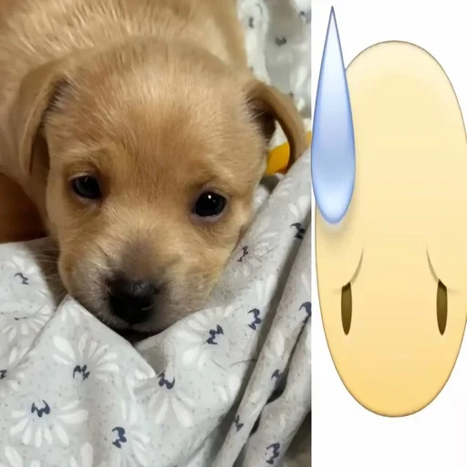 Эмодзи собачка милая