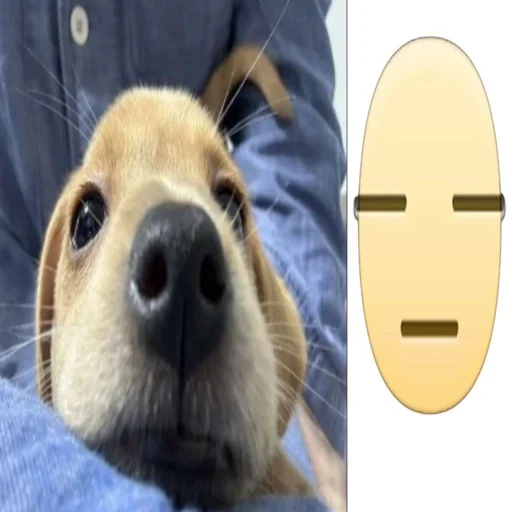 Эмодзи собачка милая