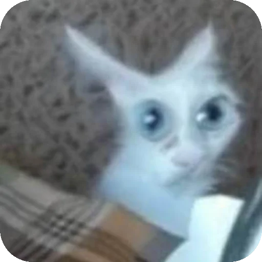 Эмодзи Cuties