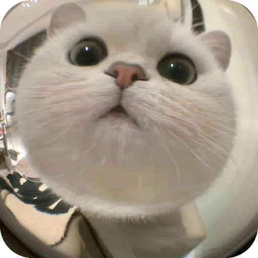 Эмодзи Cuties