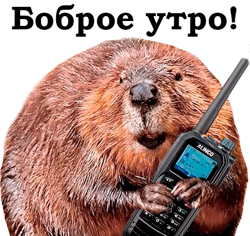 Эмодзи Фразы