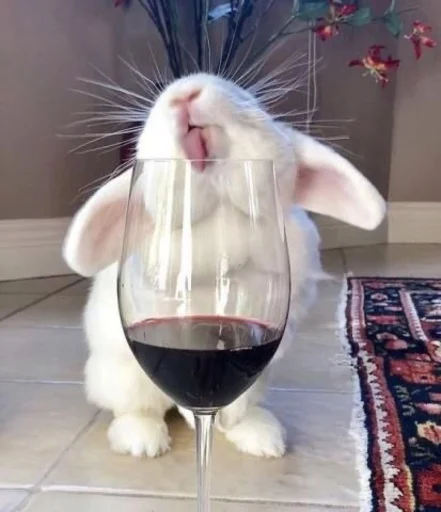 Эмодзи 🐰RABBITS🐰