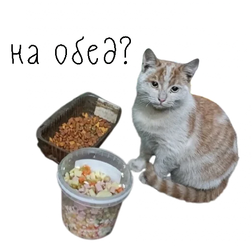 ?