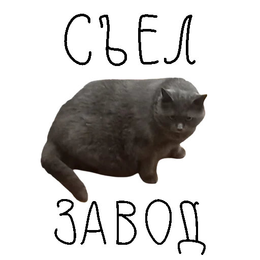 Эмодзи коты ишачат на заводе