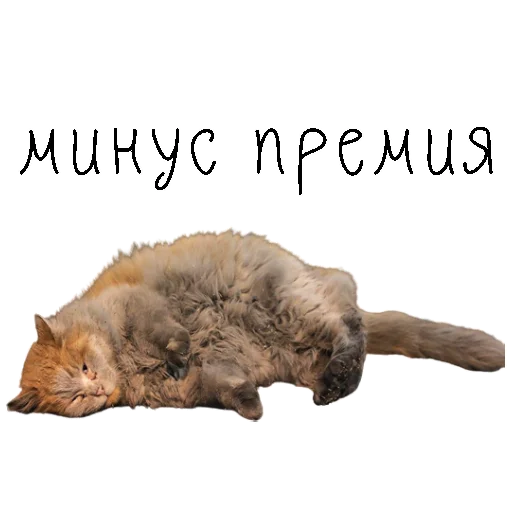 Эмодзи коты ишачат на заводе