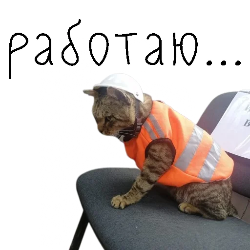 Эмодзи коты ишачат на заводе