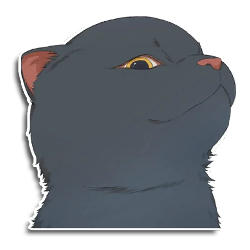 Эмодзи Енот Аман