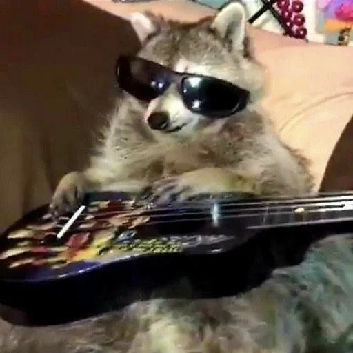 Эмодзи Raccoons