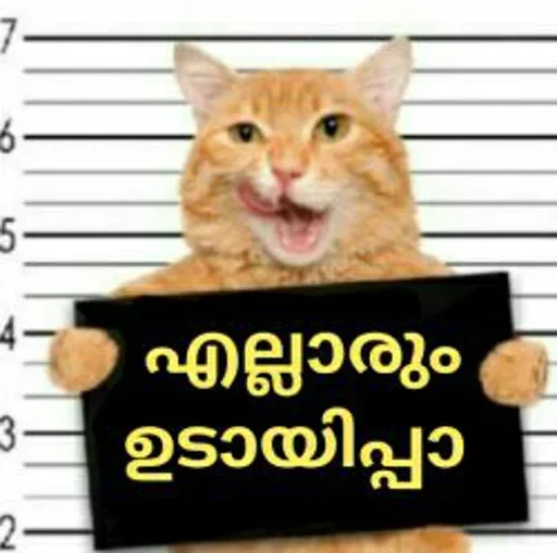 Эмодзи Random Stickers Coll.3 🤤