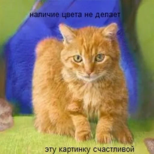 Эмодзи random! (mimimimi)???????✂️???