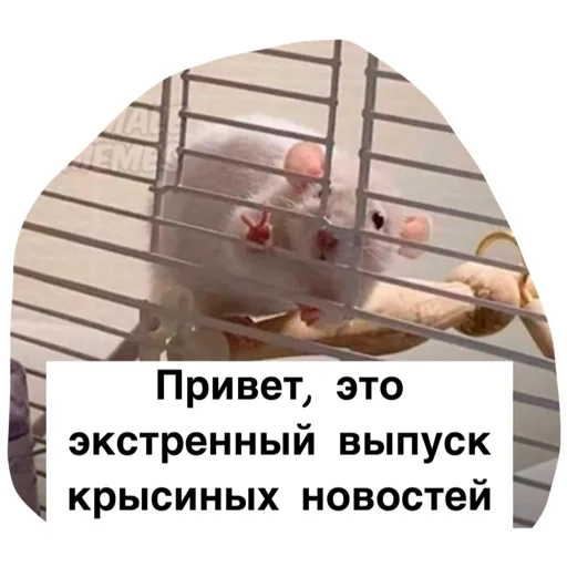 😱