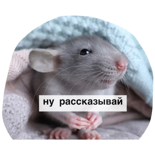 Эмодзи Крысиноэ