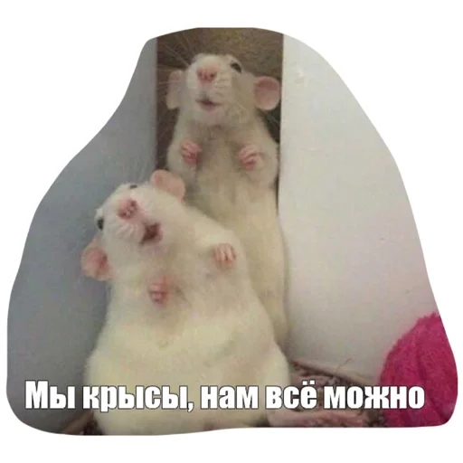 Эмодзи Крысиноэ