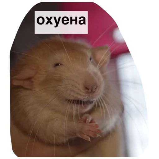 Эмодзи Крысиноэ