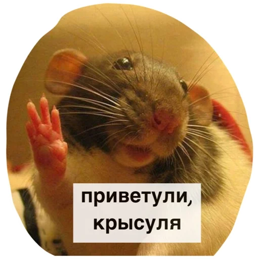 Эмодзи Крысиноэ