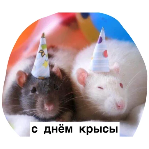 Эмодзи Крысиноэ