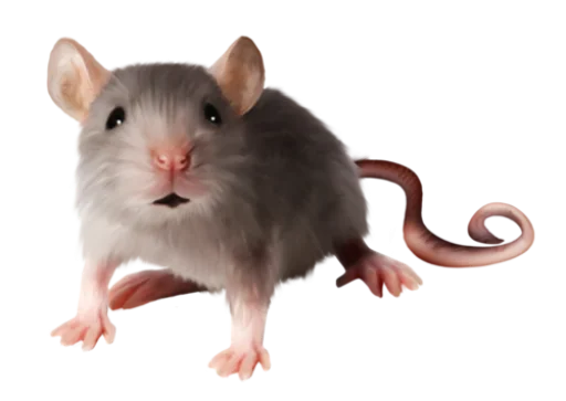 Эмодзи 🐀🐸 крыски, жабки