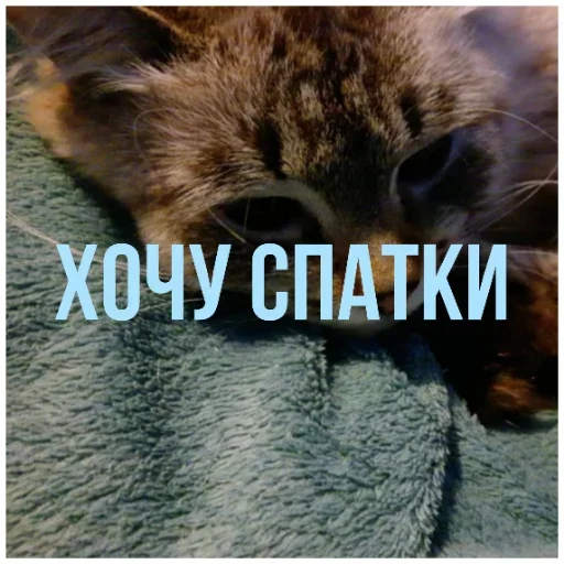 Эмодзи Chatters