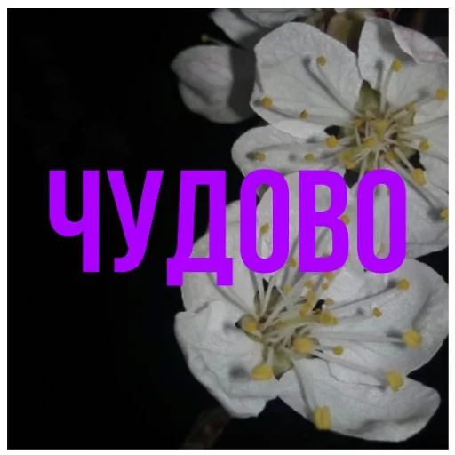 Эмодзи Chatters
