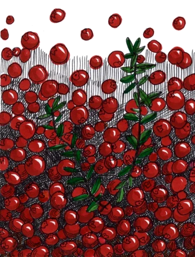 Эмодзи rdwdtr