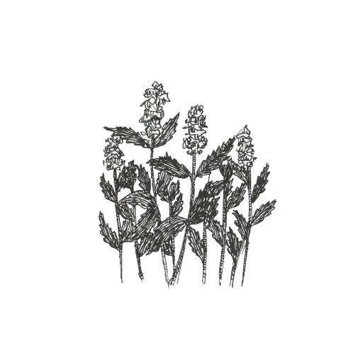 Эмодзи rdwdtr