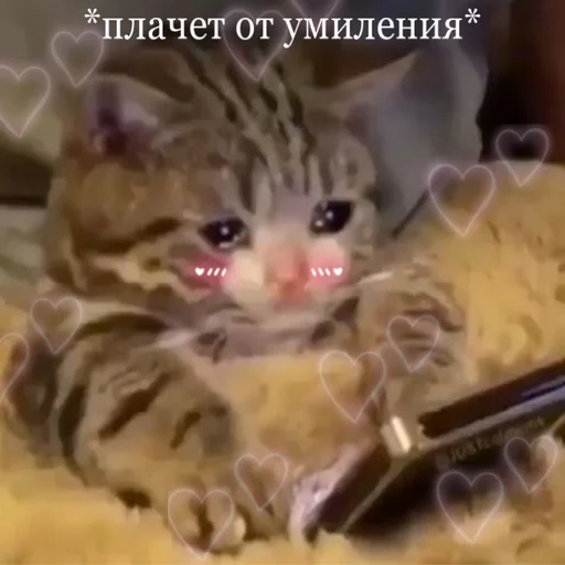 Эмодзи Uwu