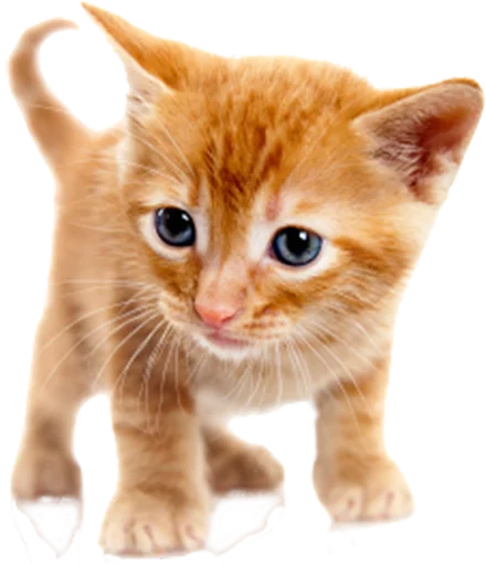 Эмодзи Real Emoji