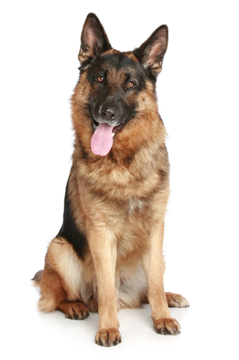 Эмодзи Real Emoji