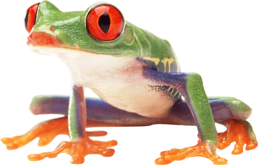 Эмодзи Real Emoji
