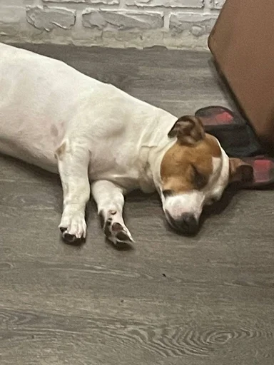 Эмодзи ричик