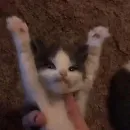 Эмодзи lovely♡