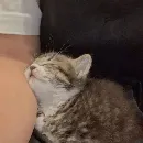 Эмодзи lovely♡