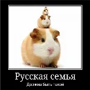 Эмодзи ржака 10