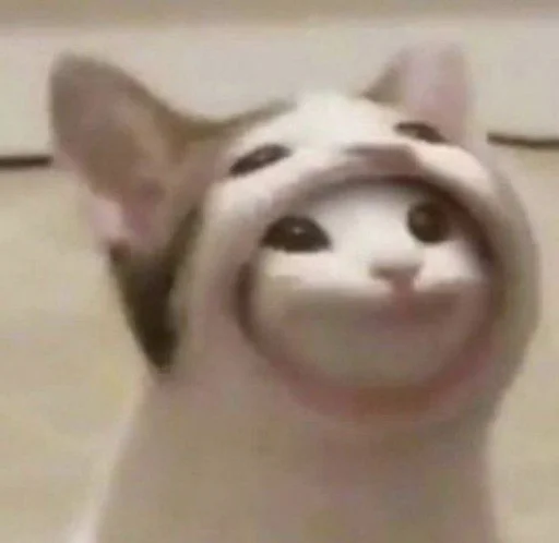 ?