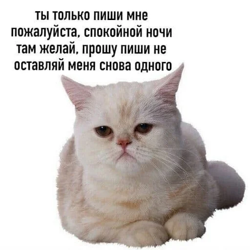 Эмодзи ржака 18