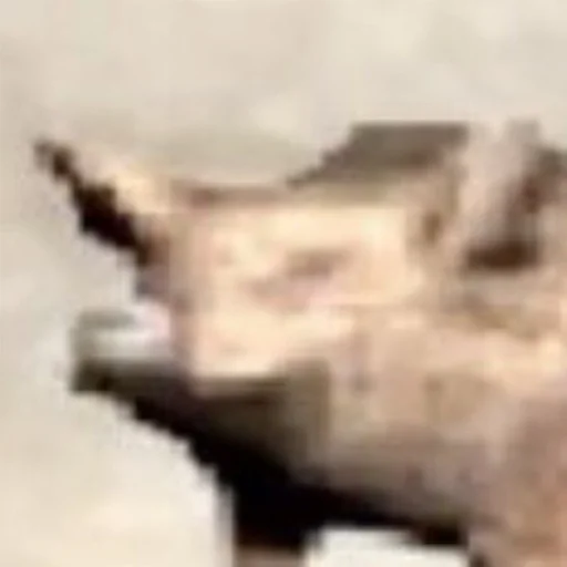 Эмодзи угарні свині