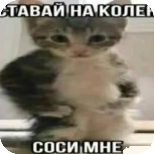 Эмодзи ромка