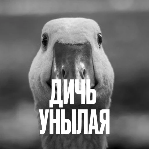 Эмодзи Креативно ругаем студентов