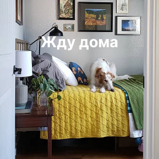 Эмодзи носатый пак