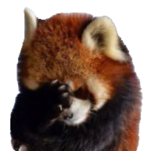 Эмодзи Sashimi