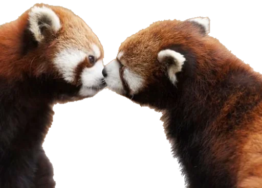 Эмодзи Sashimi