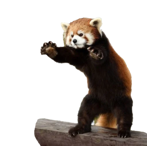 Эмодзи Sashimi