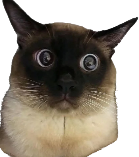 Эмодзи Sashimi